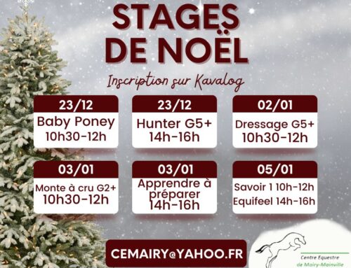 Stages vacances de Noël 2024/2025